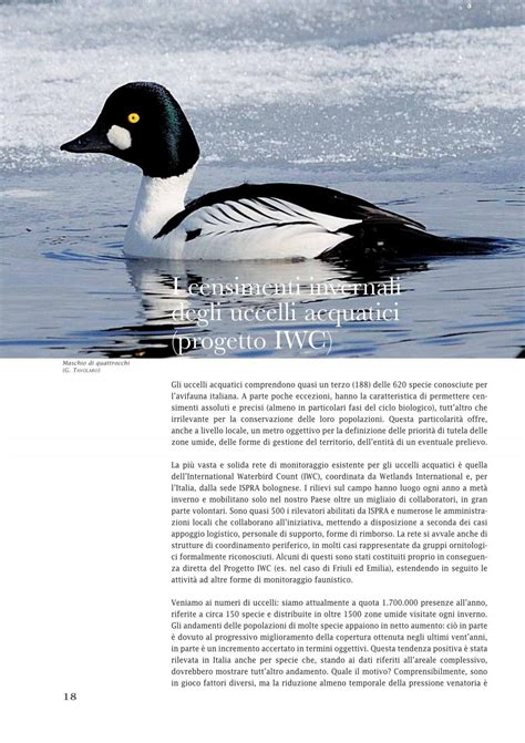 censimenti uccelli acquatici iwc|Infs.